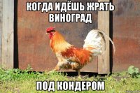 когда идёшь жрать виноград под кондером