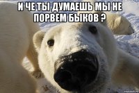и че ты думаешь мы не порвем быков ? 