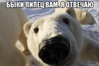 быки пипец вам. я отвечаю 