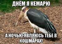 днём я кемарю а ночью являюсь тебе в кошмарах!