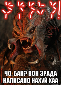  чо, бан? вон зрада написано нахуй хаа