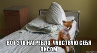  вот это нагребло, чувствую себя лисом