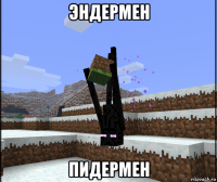 эндермен пидермен
