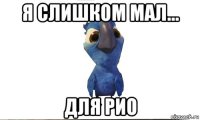 я слишком мал... для рио