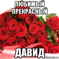 любимый прекрасный давид