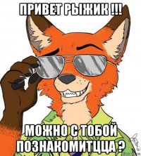 привет рыжик !!! можно с тобой познакомитцца ?
