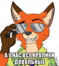  а у нас все кролики довольные