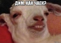 дим, как чаек? 