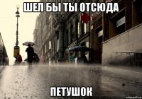 шел бы ты отсюда петушок