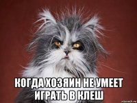  когда хозяин не умеет играть в клеш