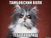 тамбовский волк тебе товарищ