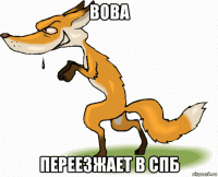 вова переезжает в спб