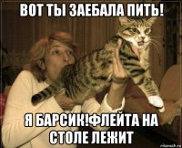 вот ты заебала пить! я барсик!флейта на столе лежит