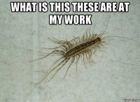 what is this these are at my work 