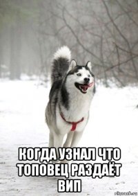  когда узнал что топовец раздаёт вип
