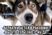  -белка купается в раковине! -вы что серьёзно ? -ну да !