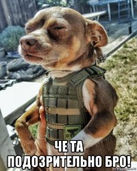  че та подозрительно бро!