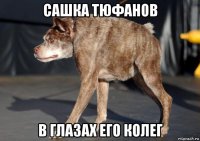сашка тюфанов в глазах его колег