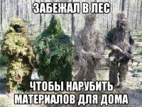 забежал в лес чтобы нарубить материалов для дома