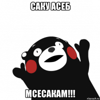 саку асеб мсесакам!!!