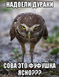 надоели дураки сова это фуфушка ясно???