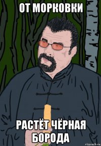 от морковки растёт чёрная борода