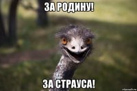 за родину! за страуса!