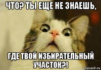 что? ты еще не знаешь, где твой избирательный участок?!