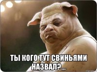  ты кого тут свиньями назвал?...