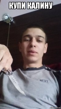 купи калину 