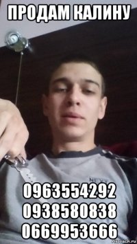 продам калину 0963554292 0938580838 0669953666