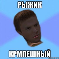 рыжик крмпешный