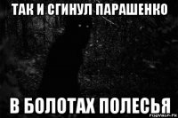 так и сгинул парашенко в болотах полесья