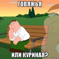 говяжья или куриная?