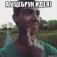 а у цебрук идея) 