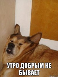  утро добрым не бывает