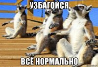 узбагойся всё нормально