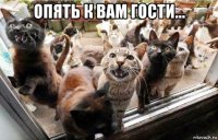 опять к вам гости... 