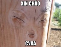 xin chào сука