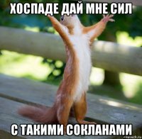 хоспаде дай мне сил с такими сокланами