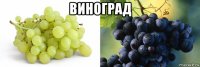 виноград 