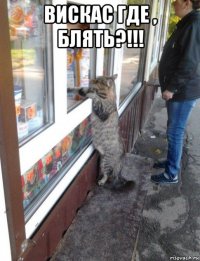 вискас где , блять?!!! 