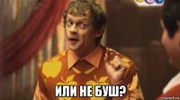  или не буш?