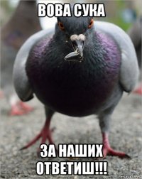 вова сука за наших ответиш!!!