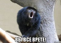  вы все врете!