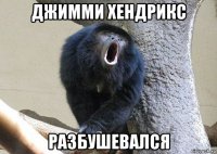 джимми хендрикс разбушевался