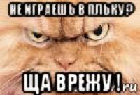 не играешь в пльку ? ща врежу !