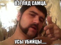взгляд самца, усы убийцы.....