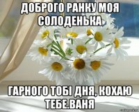 доброго ранку моя солоденька гарного тобі дня, кохаю тебе.ваня