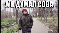 а я думал сова 